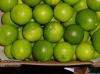 Fresh Limes from Curley's Quality foods Galway. Think Fresh, Think Quality, Think Curley's