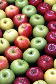 Freshly picked Apples from Curley's quality foods Galway. Think Fresh, Think Quality,Think Curley's 