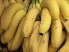 Fresh Banana's from Curley's Quality foods Galway. Think Fresh, Think Quality, Think Curley's