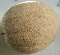 Fresh Cantaloupe Melon from Curley's Quality foods Galway. Think Fresh, Think Quality, Think Curley's